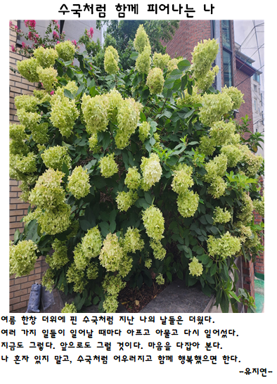 '조울증' 진단을 받은 뒤 10대 아이들과 떨어져 사회전환시설에서 지내는 유지연씨가 사회전환시설에서 지내며 느낀 감상을 적은 수기 작품.