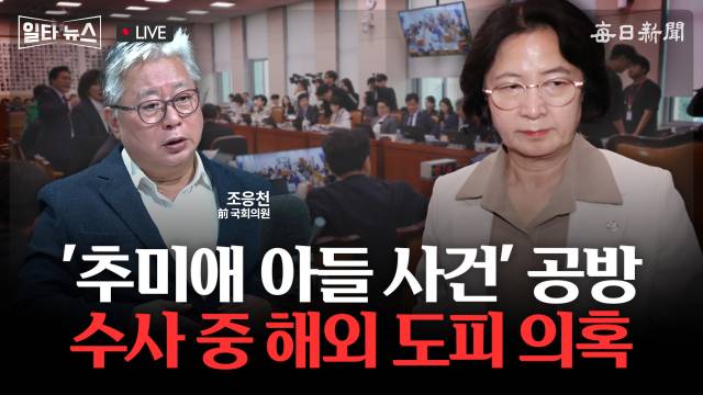 매일신문 유튜브