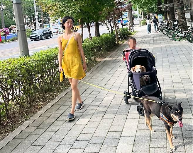 반려견들과 일상을 함께하는 모습. 이주영은 자신이 반려견들을 돌보는 것보다 오히려 반려견들에게 위로와 치유를 받는다고 말한다(이주영 제공). ⓒ 뉴스1