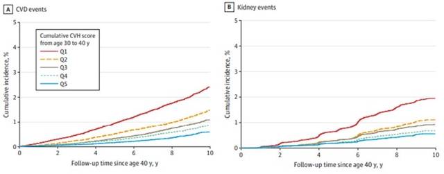40세 이후 10여년간의 추적 관찰 결과, 30대에 누적된 심혈관 건강 수준이 상위 20%인 집단은 하위 20%인 집단에 비해 심뇌혈관질환과 신장질환 발생 위험이 각각 73%, 75% 낮은 것으로 나타났다. 세브란스병원 제공