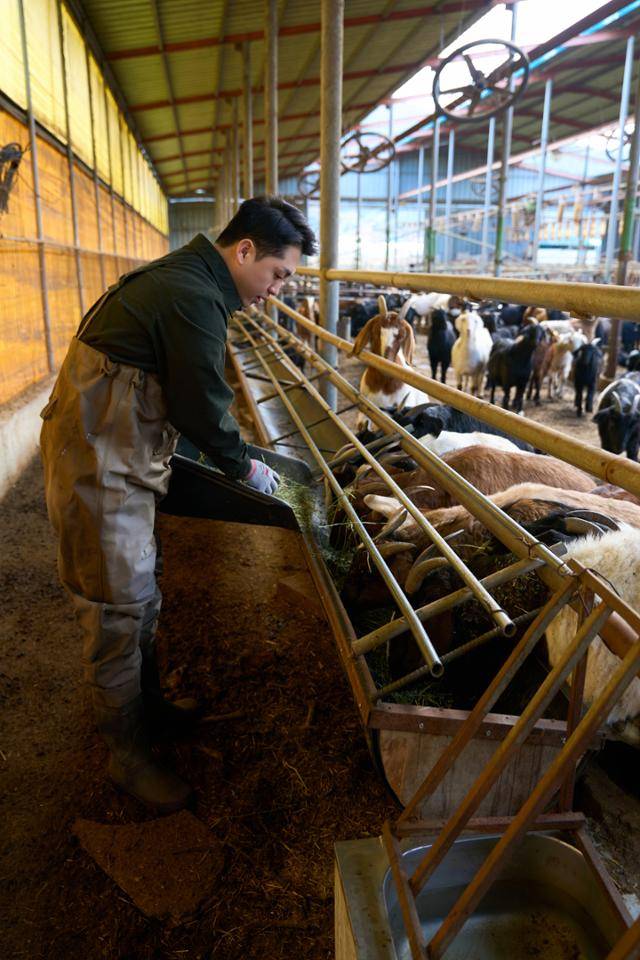 최유성 고력당 셰프가 아버지가 운영하는 전남 보성의 염소 농장 '흑비원'에서 염소를 돌보고 있다. 최유성 제공