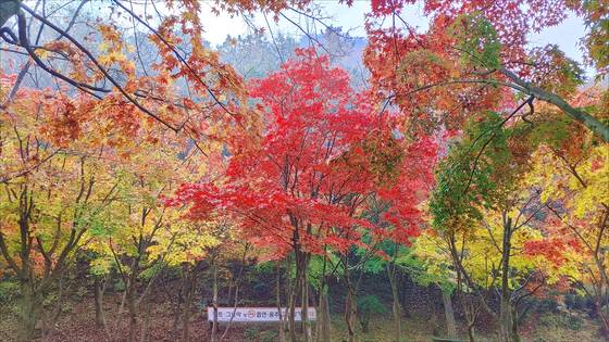 Mount Soyo [SCREEN CAPTURE]