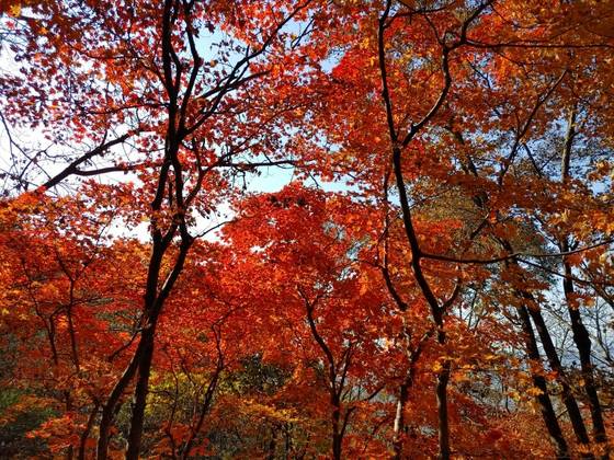 Mount Gumdan [SCREEN CAPTURE]