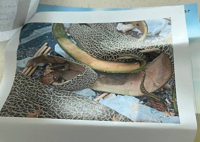 멜론 껍질을 일반 쓰레기 봉투에 담아 버렸다가 과태료 10만원을 물게 됐다는 사연이 전해졌다.  [온라인 커뮤니티]