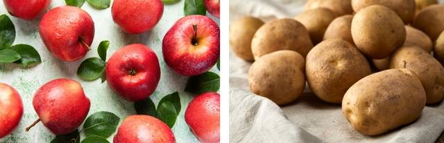 사과의 에틸렌 가스가 감자 싹의 발아를 억제하기에 사과를 감자 사이에 넣어두면 생장점을 억제한다. 게티이미지뱅크