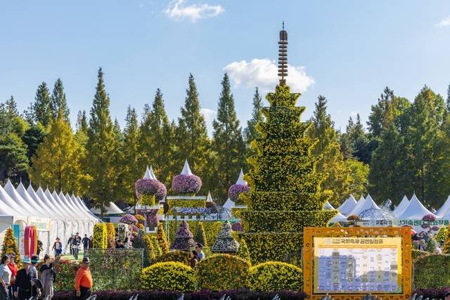 24일 제22회 익산 천만송이 국화축제장/사진 제공=익산시