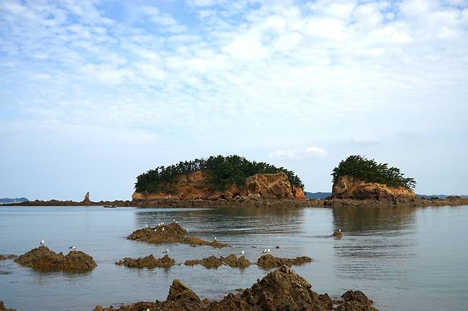 [보령=뉴시스] 보령시 장고도 . (사진=뉴시스 DB). photo@newsis.com  *재판매 및 DB 금지