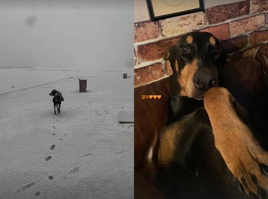 /사진=배정남 개인계정