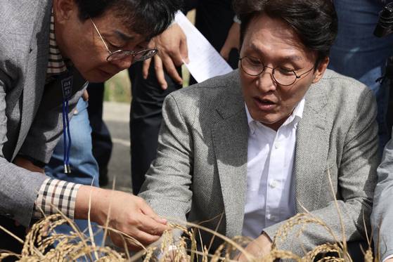 김민석 국무총리가 지난 7일 전남 장흥군 안양면 해창리 일원을 방문해 '벼 깨씨무늬병' 피해 현장을 점검하고 있다. [사진 총리실]