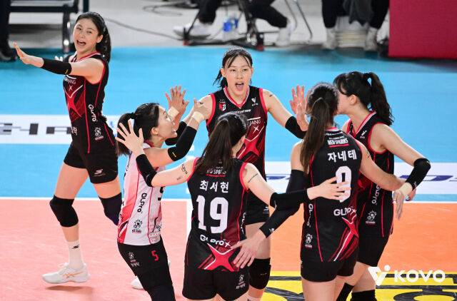 정관장 배구단./KOVO