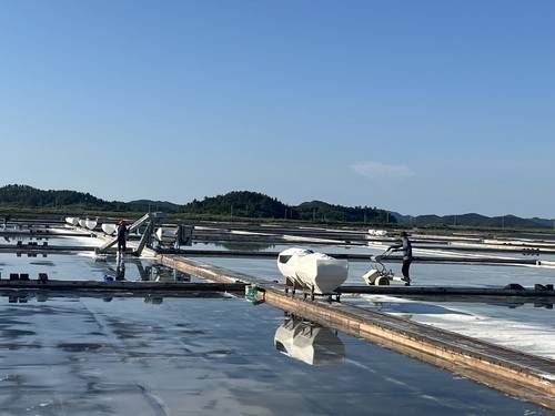 신안 증도 태평염전 [촬영 김윤구]