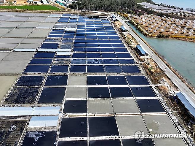 美 수출길 막힌 태평염전 (신안=연합뉴스) 김혜인 기자 = 미국 정부가 지난 3일 강제노동 규정을 위반한 국내 최대 규모 단일염전인 태평염전의 소금 수입을 차단하는 인도보류명령을 발동했다고 밝혔다. 사진은 전남 신안군 증도에 위치한 태평염전의 모습. 2025.4.7 in@yna.co.kr