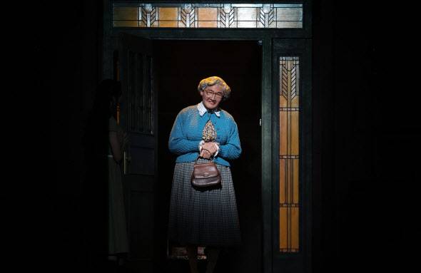 뮤지컬 ‘미세스 다웃파이어’의 한 장면. 유모 ‘미세스 다웃파이어’로 변신한 배우 황정민이 열연을 펼치고 있다(사진=뉴시스).