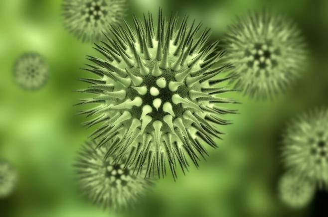 독감 바이러스의 모습을 고해상도로 살펴본 이미지, 사진=게티이미지뱅크