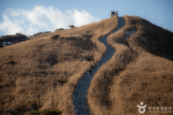 황매산군립공원 /사진제공-한국관광공사