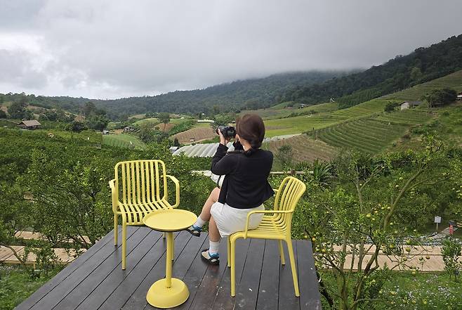 치앙마이 새 녹색 명소 마이 가든 오렌지팜