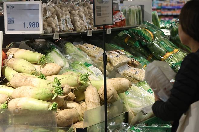 김장철을 앞둔 23일 서울의 한 대형마트에서 시민이 무를 살펴보고 있다. 연합뉴스