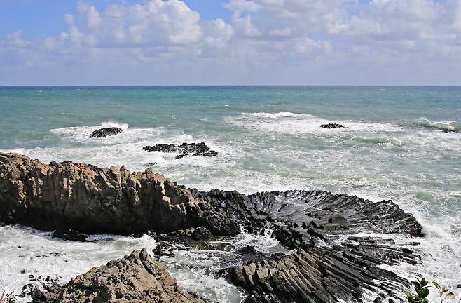 해파랑길 가에 있는 경주 주상절리