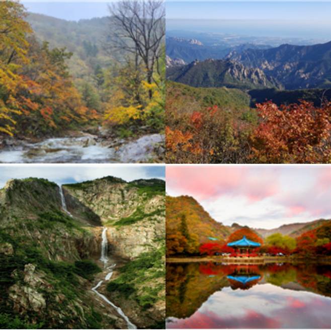 (왼쪽 상단부터 시계방향으로)오대산 선재길, 설악산 비선대 및 토왕성폭포, 내장산 우화정. 국립공원공단 제공