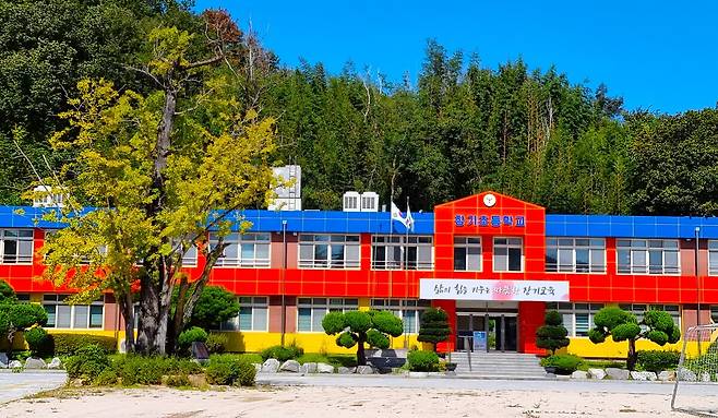 은행나무와 장기초등학교.