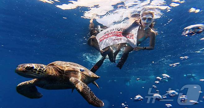 29일(현지시간) 인도네시아 마나도 부나켄 해양국립공원에서 이스타항공의 인천-마나도 첫 편을 통해 도착한 관광객들이 프리다이빙을 하고 있다.  2025.10.29/뉴스1 ⓒ News1 안은나 기자