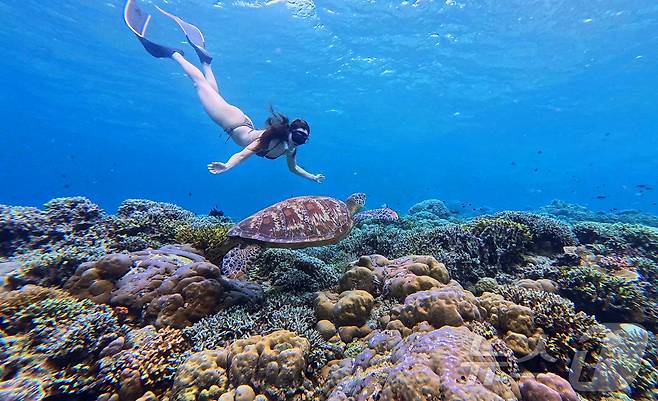 29일(현지시간) 인도네시아 마나도 부나켄 해양국립공원에서 이스타항공의 인천-마나도 첫 편을 통해 도착한 관광객들이 프리다이빙을 하고 있다.  2025.10.29/뉴스1 ⓒ News1 안은나 기자
