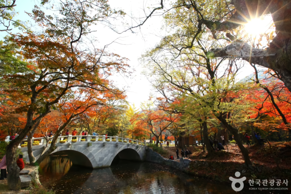 선운사 /사진제공-한국관광공사