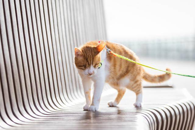 게티이미지뱅크