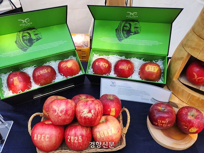 29일 경주 APEC 국제미디어센터 부근에서 운영된 ‘K-푸드 스테이션’에서 경북도 농업기술원이 선보인 사과. 강정의 기자