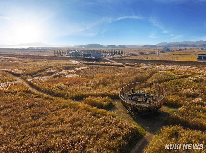 서천 신성리 갈대밭.