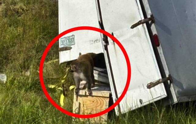 미국 미시시피주 재스퍼 카운티 보안관 사무소 페이스북 캡처