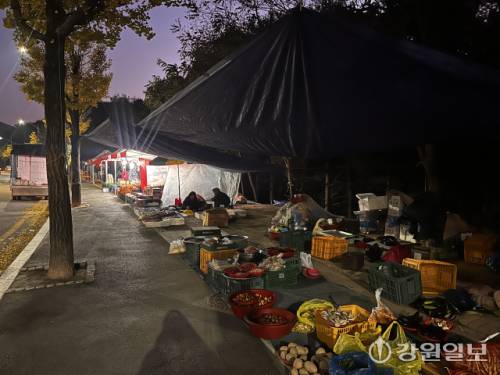 ◇최저기온이 영상 1도까지 떨어진 29일 오전 5시, 춘천 애막골 새벽시장 상인들이 장사 준비로 분주하다. 사진=고은기자