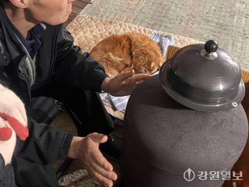 ◇난로 앞에서 손을 쬐는 조씨 곁에서 담요 위 강아지가 곤히 잠들어 있다. 사진=고은기자