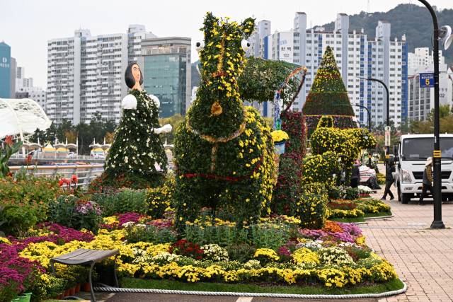 제25회 마산가고파국화축제를 이틀 앞둔 30일 창원시 마산합포구 3·15해양누리공원 주변이 축제 준비로 한창이다. 내달 9일까지 열리는 마산가고파국화축제는 10개 테마로 구성된 230여개 대형 국화작품과 17만본 넘는 국화꽃을 만날 수 있다./전강용 기자/