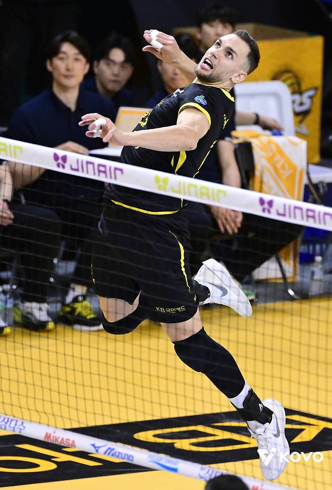 KB손해보험 안드레스 비예나. (KOVO 제공)