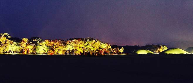 ‘경주 계림’ 야경 풍경. 경주시 제공