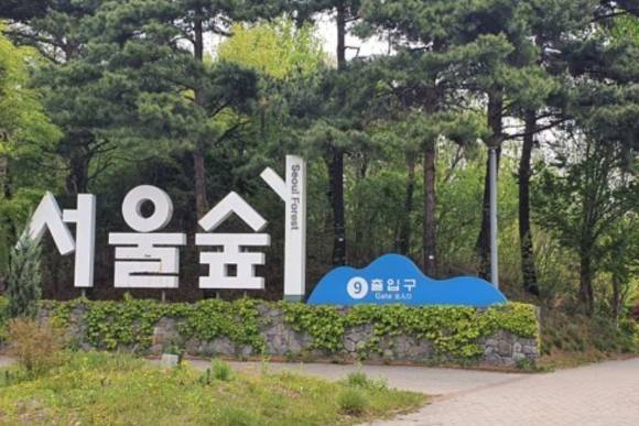 서울숲 공원 산책로에 불을 지른 뒤 달아난 러시아 국적 관광객이 1심에서 징역형 집행유예를 선고받았다. 사진은 서울숲 입구. [사진=연합뉴스]