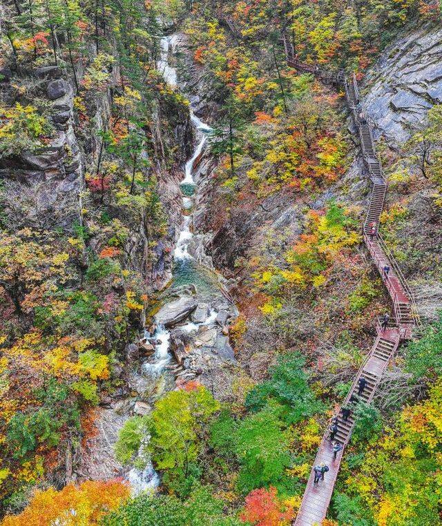 가을철 단풍으로 유명한 설악산 천불동 계곡 오련폭포. 폭포 주변 기암괴석과 옥빛을 머금은 담(潭)과 소(沼)가 단풍과 어우러져 한 폭의 산수화를 그려내고 있다.