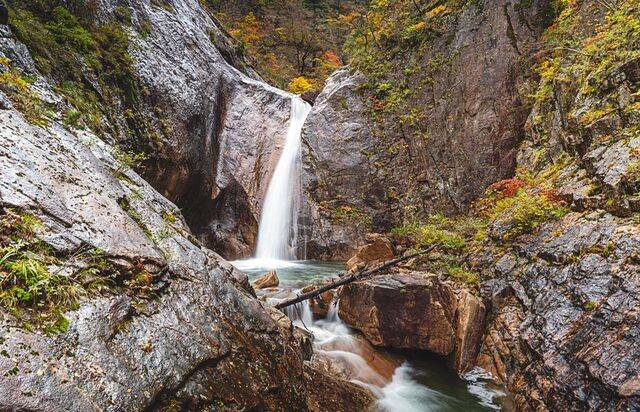 초록 치마 웅덩이로 뛰어드는 하얀 옷고름 같은 천당폭포.