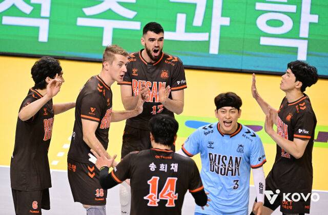 OK저축은행 배구단./KOVO