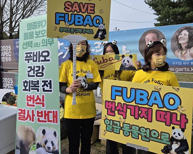30일 오후 경주시 황남동 내남사거리에서&nbsp;푸바오구출대작전 회원들이 피캣을 들고&nbsp;“푸바오를 1급 동물원으로 옮겨 달라”고 촉구하고 있다.&nbsp;
