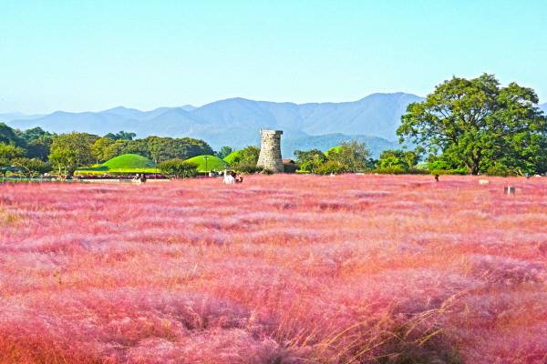 ©경주문화관광