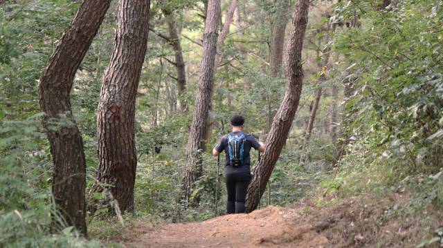 한 산책객이 금시당으로 이어지는 산책로를 따라 걷고 있다. 남태우 기자