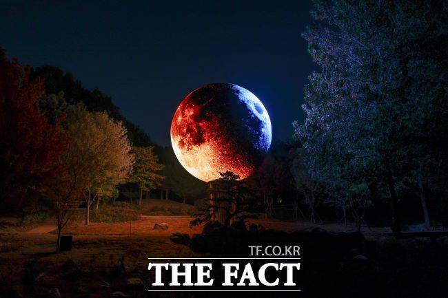 연못 위에 달이 떠 있는 모습을 구현한 루미나래 '달밤 구간' 전경. /부천시