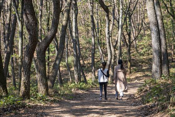 탐방객이 금정산을 오르고 있다. 사진 부산시