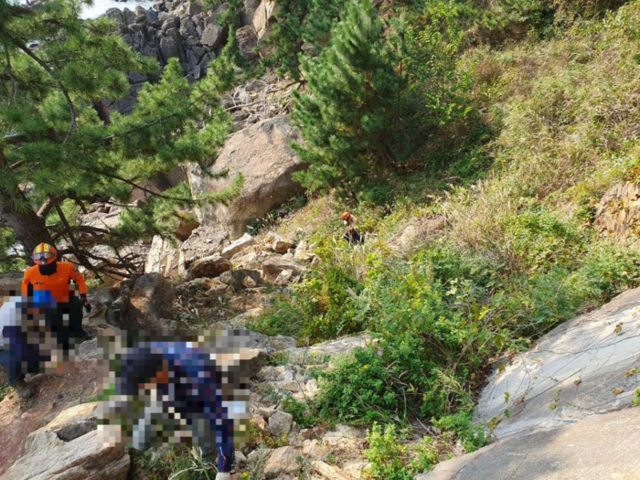 ▲ 31일 오전 9시 32분쯤 삼척시 정하동 해안가 인근 경사지에서 벌목 작업을 하던 60대 남성이 15m 아래로 추락했다다. 강원소방본부 제공