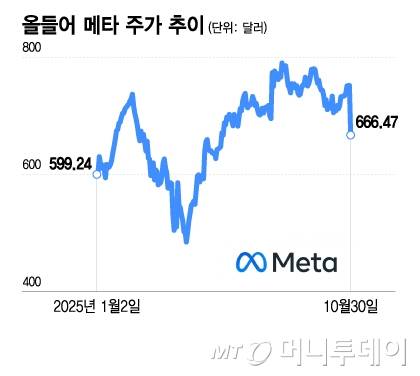 올들어 메타 주가 추이/그래픽=이지혜
