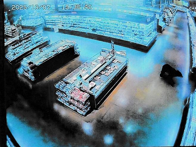 지난 7일 일본 군마현 누마타의 한 수퍼마켓에 곰 한 마리가 들어가 활보하고 있다.[AFP]