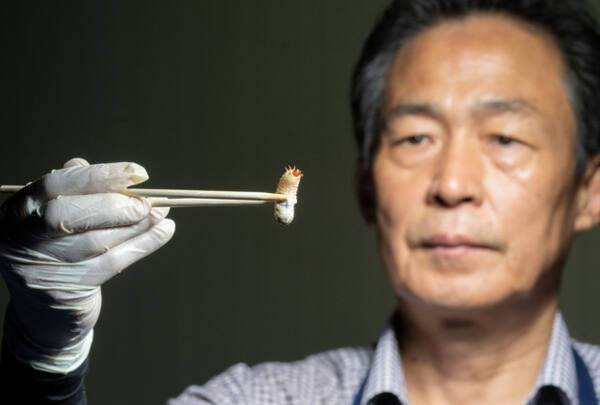 송인문 식용곤충생산자협회 회장. 조주현기자