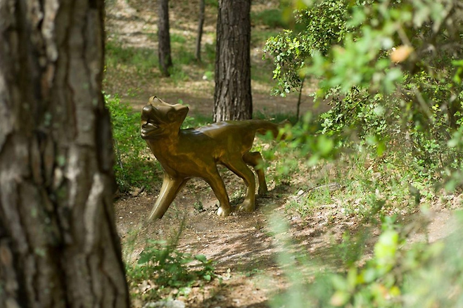 보물 찾기에 실패한 마이클 스티프의 [여우] ©Château La Coste